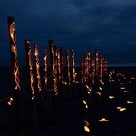 【PR記事】浜辺を美しく照らす竹の灯り―琴ヶ浜竹灯りの宵開催！【安芸郡芸西村】