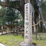 高知が誇る日本一！推定樹齢3000年の杉の大杉【大豊町】