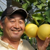 高知県民のソウルフルーツ「土佐文旦」発祥の地の果樹園【土佐市】