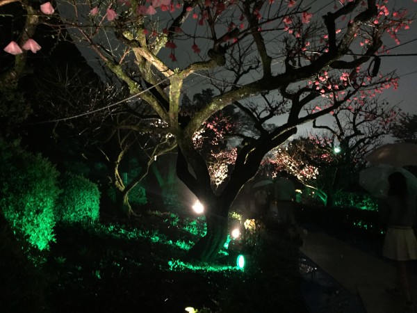 春灯しの庭園