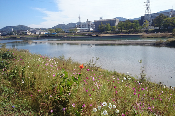 鏡川を望む