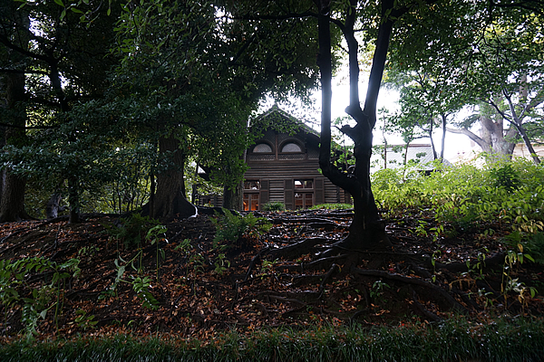 旧岩崎邸庭園 木造建物