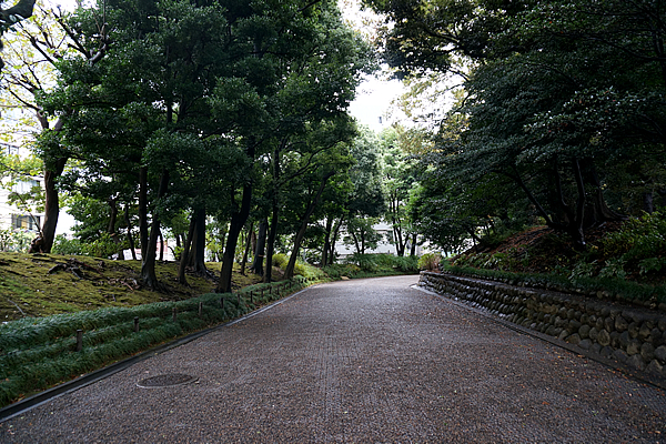 旧岩崎邸庭園 下り坂