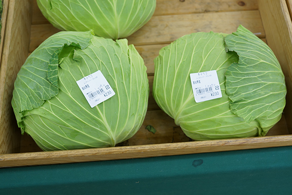 はるのテラス・はるのハーベスト 野菜ドレッシング