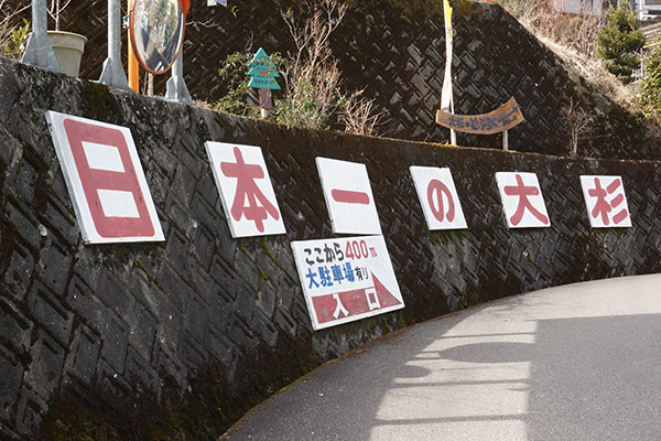 大豊町 日本一の杉の大杉 案内看板