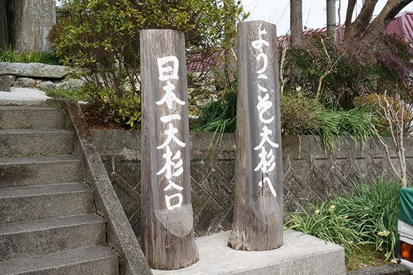 大豊町 日本一の杉の大杉 大杉一入口