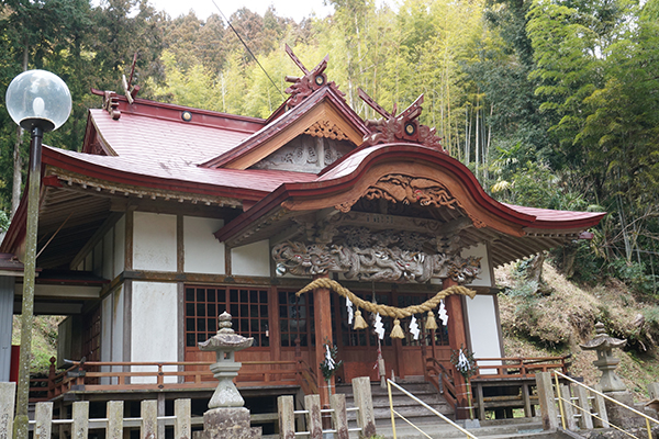 大豊町 日本一の杉の大杉 八坂神社