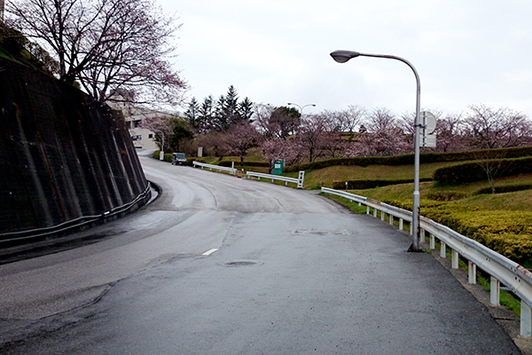 針木浄水場 運動・自然公園 入口付近