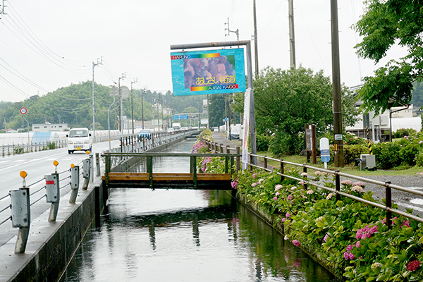 春野 あじさい街道看板