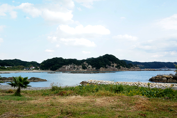 足摺海底館 竜串見残し