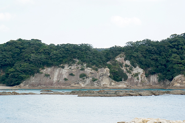 足摺海底館 竜串見残し