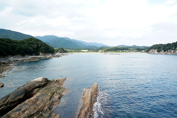 足摺海底館 竜串海岸付近