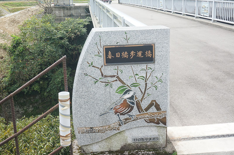 かわうそ自然公園手前の春日橋歩道橋