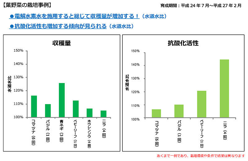 日本トリムの電解水素水で育てた葉菜類の生育データ