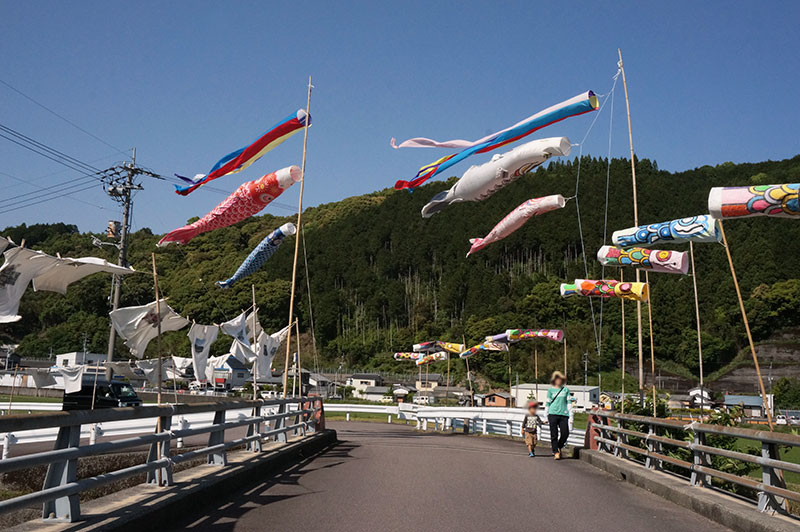 黒潮町佐賀のかつおのぼり