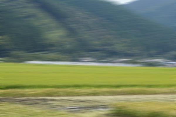 四万十とおわに行くためなら田園風景さえもぶっ飛ばす！